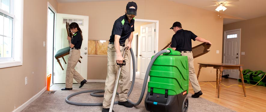 Alpena, MI cleaning services