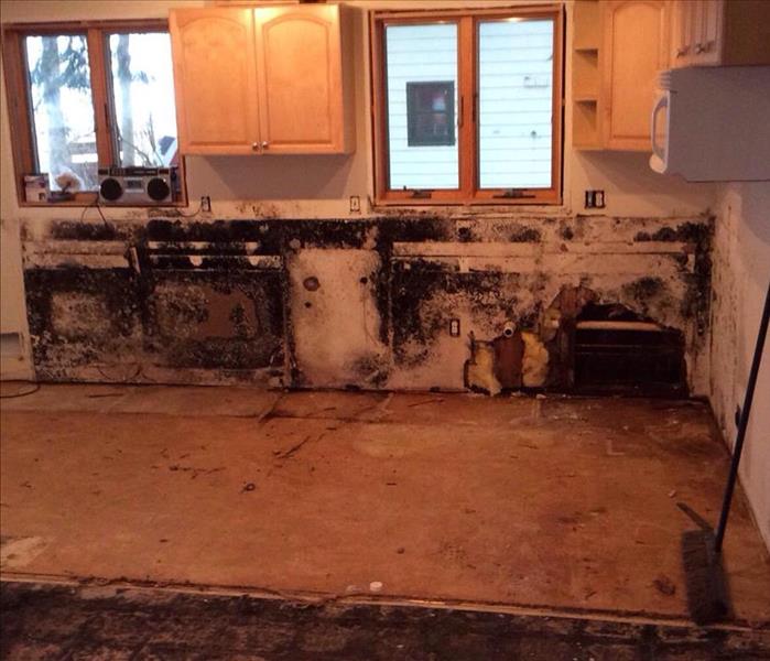 black mold that was found behind kitchen cabinets after they were removed